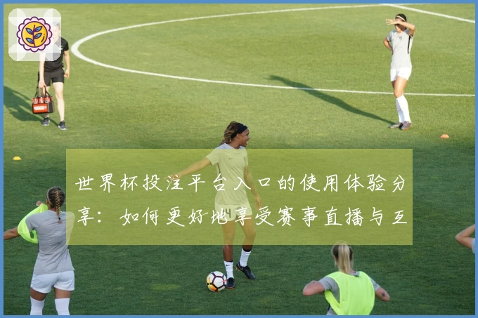 世界杯投注平台入口的使用体验分享:如何更好地享受赛事直播与互动