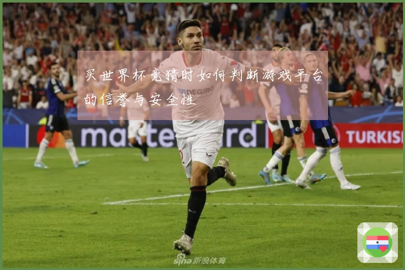 买世界杯竞猜时如何判断游戏平台的信誉与安全性