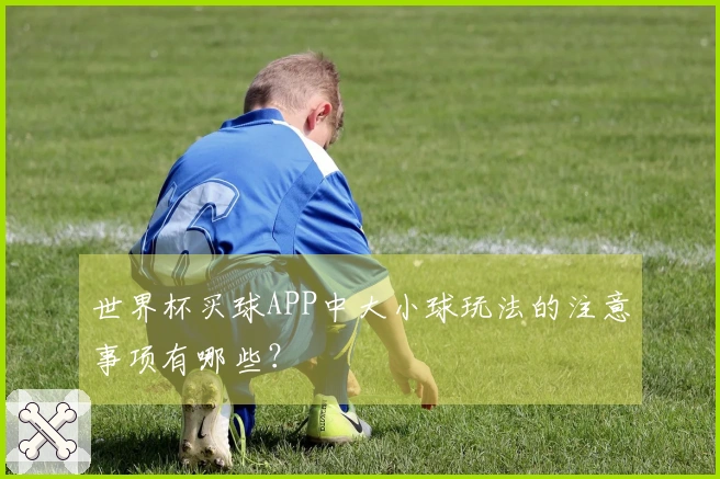 世界杯买球APP中大小球玩法的注意事项有哪些？