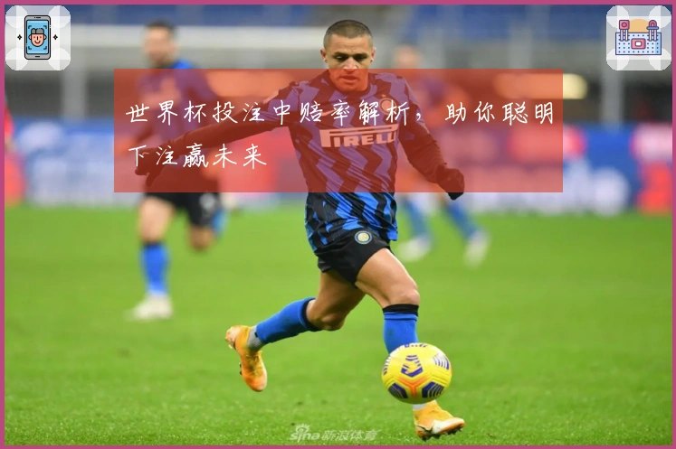 世界杯投注中赔率解析，助你聪明下注赢未来