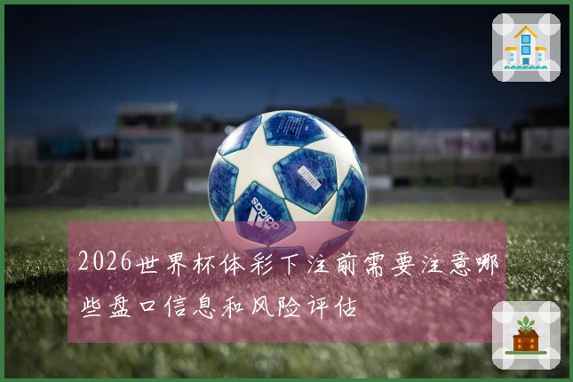 2026世界杯体彩下注前需要注意哪些盘口信息和风险评估