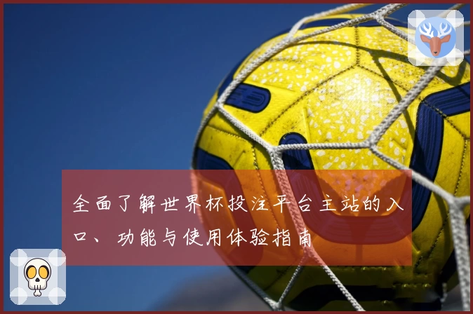 全面了解世界杯投注平台主站的入口、功能与使用体验指南