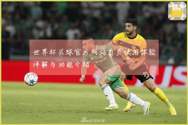 世界杯买球官方网站首页使用体验详解与功能介绍