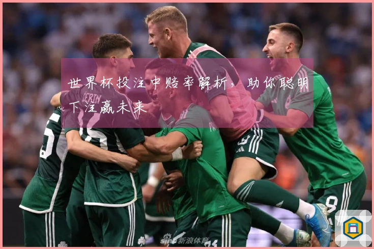 世界杯投注中赔率解析，助你聪明下注赢未来