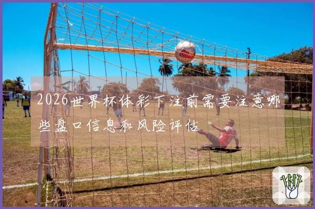 2026世界杯体彩下注前需要注意哪些盘口信息和风险评估