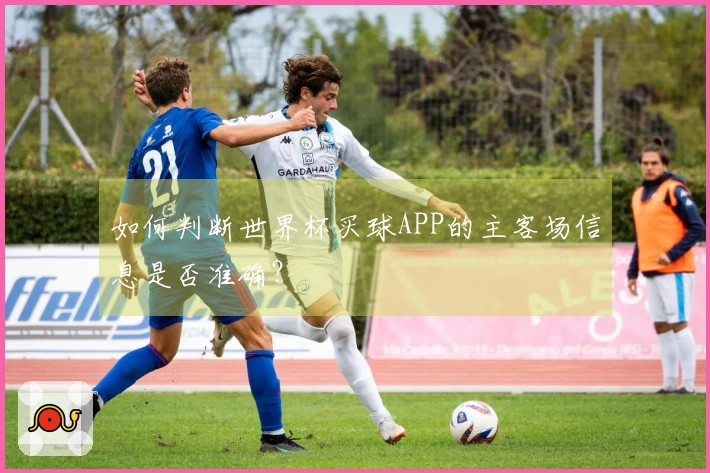 如何判断世界杯买球APP的主客场信息是否准确？