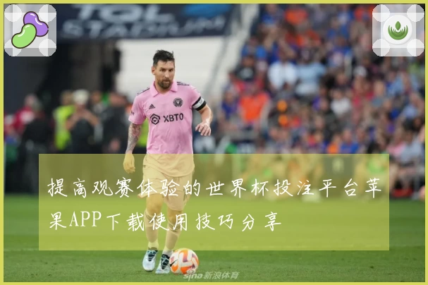 提高观赛体验的世界杯投注平台苹果APP下载使用技巧分享