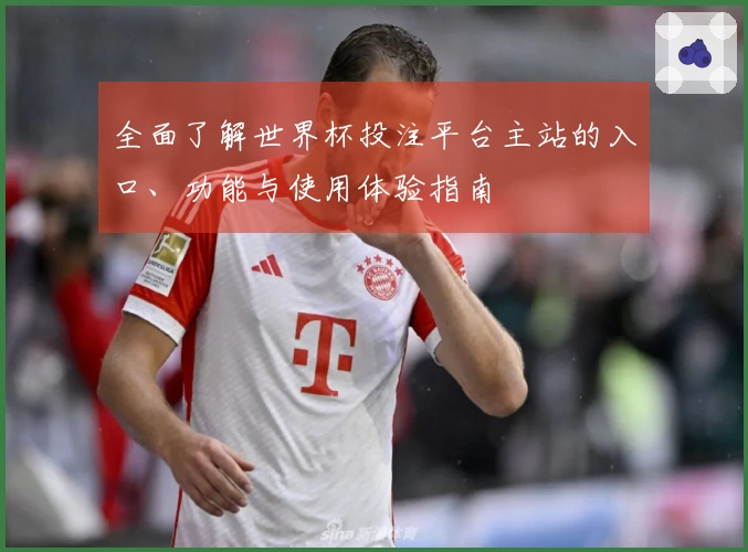 全面了解世界杯投注平台主站的入口、功能与使用体验指南