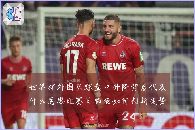 世界杯外围买球盘口升降背后代表什么意思比赛日临场如何判断走势