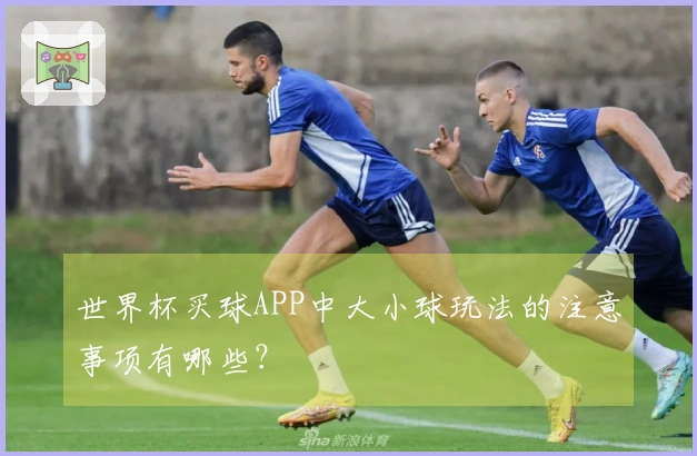世界杯买球APP中大小球玩法的注意事项有哪些？